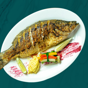 Red Snapper